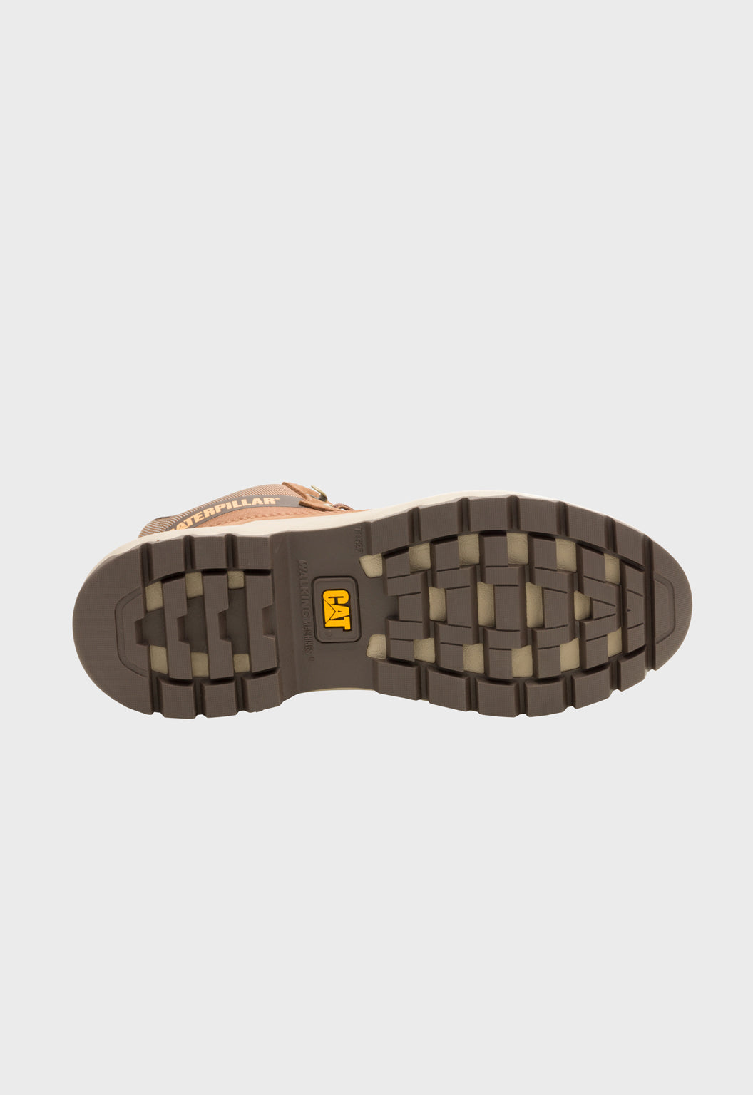 Colorado Sneaker Dachshund