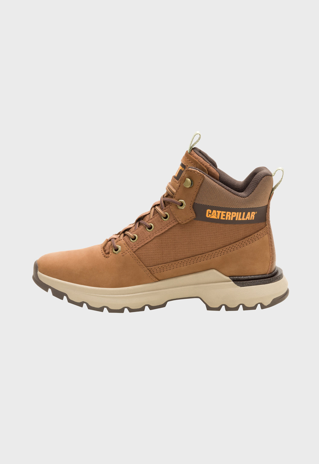 Colorado Sneaker Dachshund