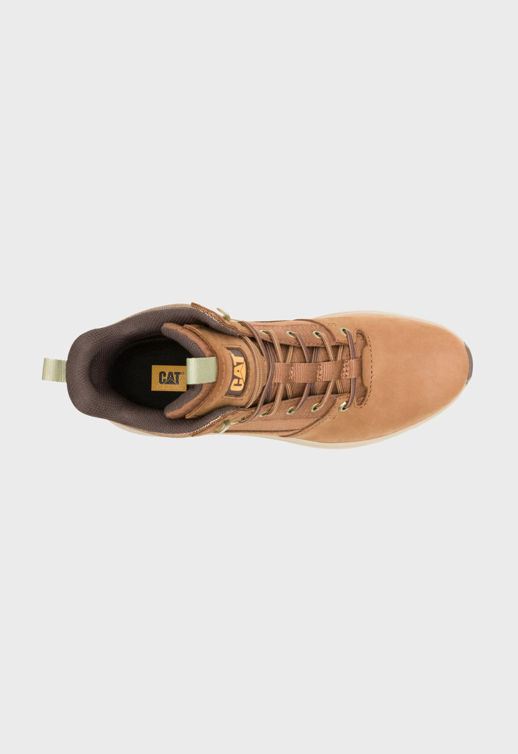 Colorado Sneaker Dachshund